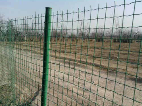 圍欄荷蘭網(wǎng)